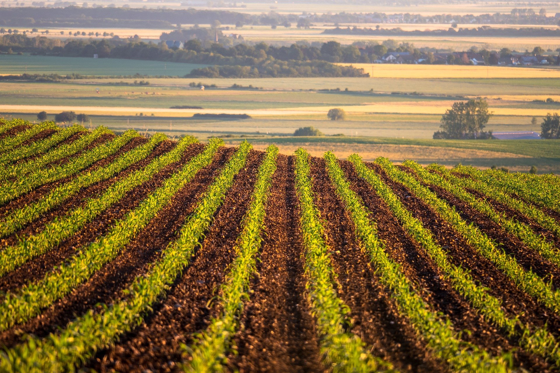 ÎNSTRĂINAREA TERENURILOR AGRICOLE SITUATE ÎN EXTRAVILAN