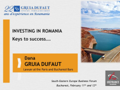 GRUIA-DUFAUT-Investir-en-Rou-clefs-du-succes-eng.jpg