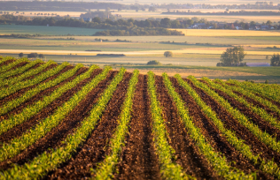 ACHAT ET VENTE DE TERRES AGRICOLES EXTRA MUROS