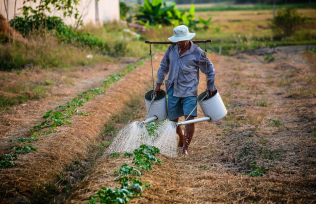 PAYEMENTS DANS L’AGRICULTURE – ACCES FACILITE POUR LES FERMIERS