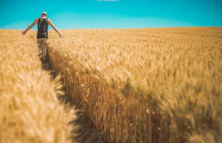 AVANTAGES FISCAUX POUR LES SALARIES DES SECTEURS DE L’AGRICULTURE ET DE L’ALIMENTATION