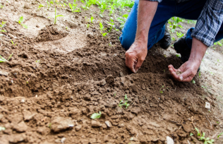 ASSOUPLISSEMENT DU REGIME JURIDIQUE DES SOCIETES AGRICOLES