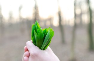 AIDES D’ETAT POUR LA PRODUCTION D’ENERGIE RENOUVELABLE