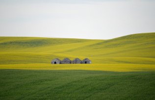 VÂNZAREA TERENURILOR AGRICOLE SITUATE ÎN EXTRAVILAN : NOI MODIFICĂRI LEGISLATIVE 