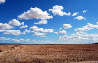 TERRES AGRICOLES : NOUVELLES CONDITIONS POUR LA DÉLIVRANCE DES TITRES DE PROPRIÉTÉ 