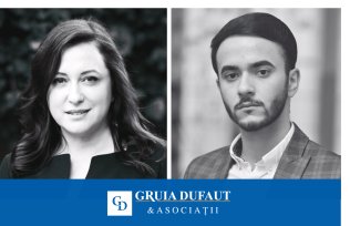 LoI: UTILITY, RISKS, AND INSIGHTS FROM THE COURT’S PRACTICE