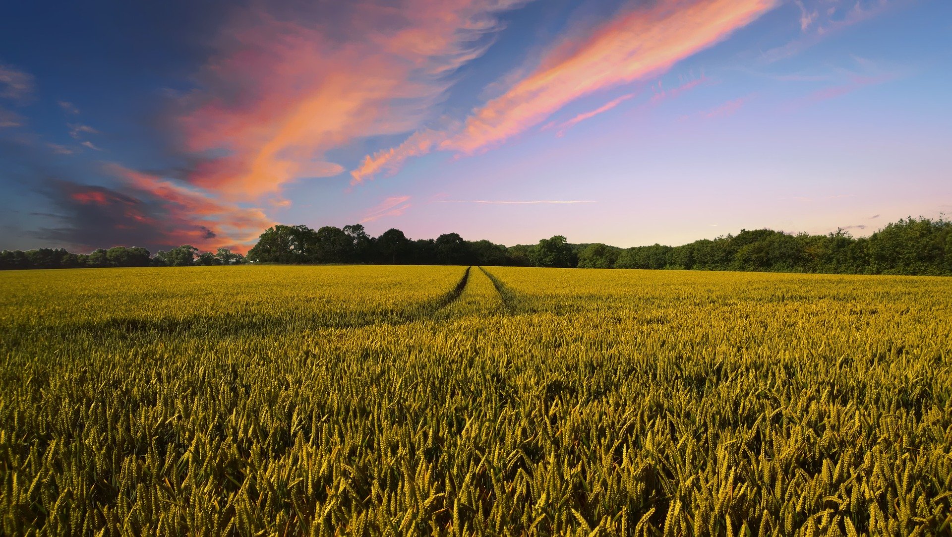 VENTE D’UN TERRAIN AGRICOLE EXTRAMUROS : MODE DE CALCUL ET DE PAIEMENT DE L’IMPÔT SUPPLÉMENTAIRE 