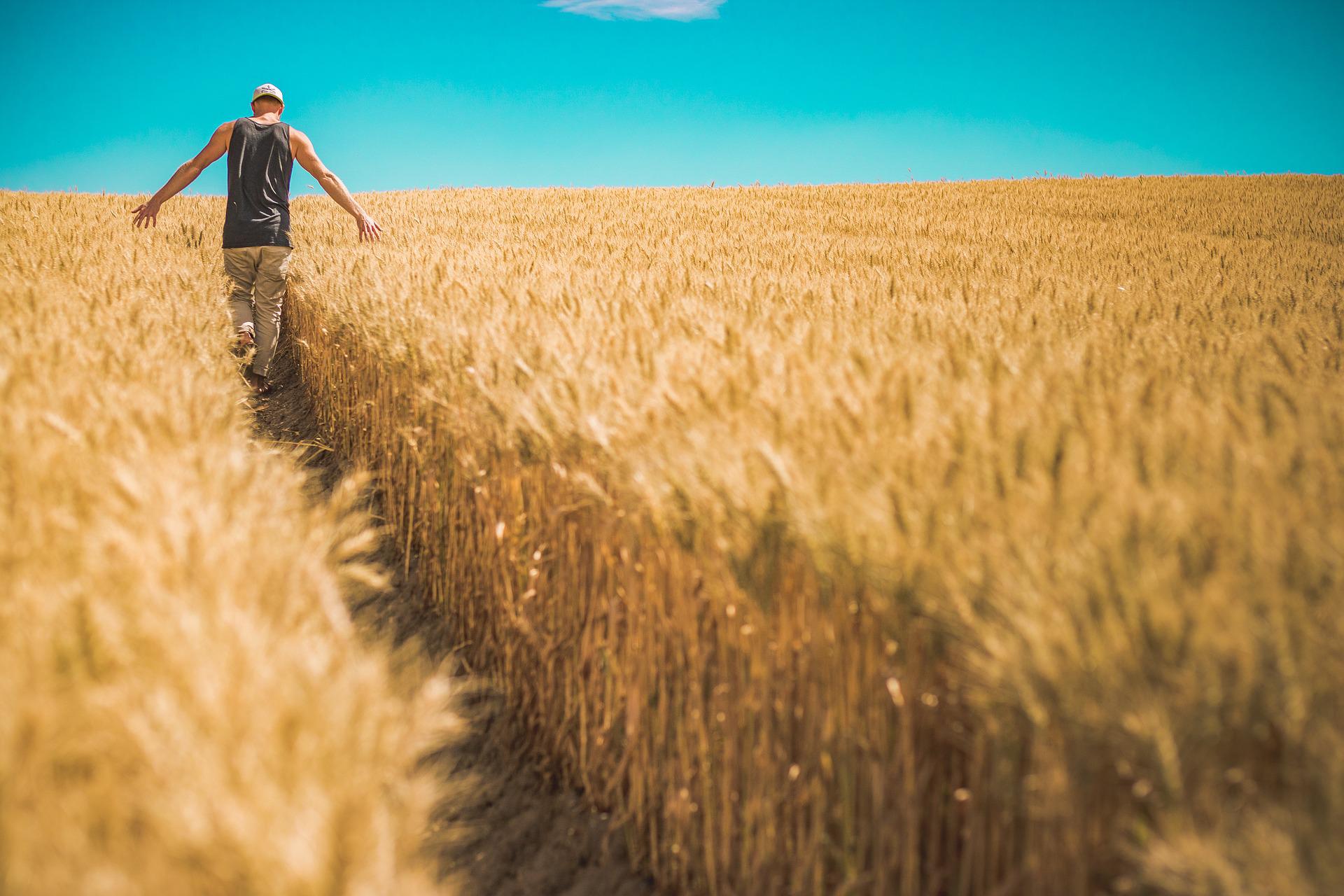 AVANTAGES FISCAUX POUR LES SALARIES DES SECTEURS DE L’AGRICULTURE ET DE L’ALIMENTATION