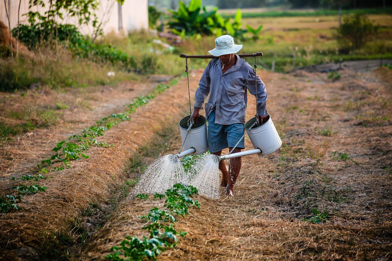 PAYEMENTS DANS L’AGRICULTURE – ACCES FACILITE POUR LES FERMIERS