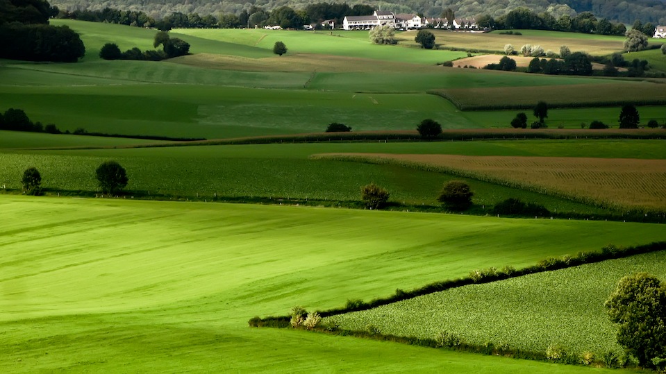 ACHAT DE TERRES AGRICOLES EN ROUMANIE : NOUVELLES MODIFICATIONS